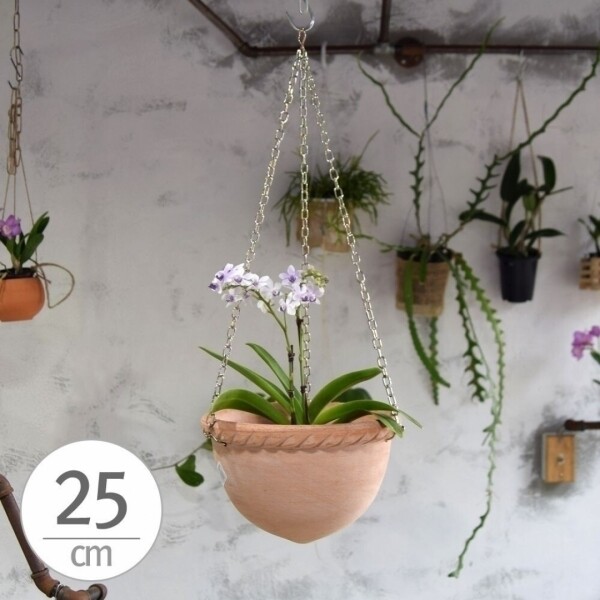 싱그러운 집,이탈리아 토분.행잉 식물용 반구 토분 (팽이) 25cm