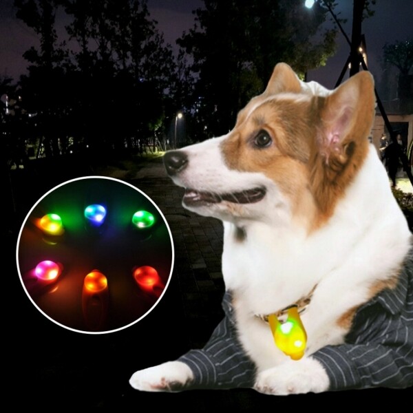 싱그러운 집,강아지 불빛 안전 야간산책 LED 펜던트 인식표