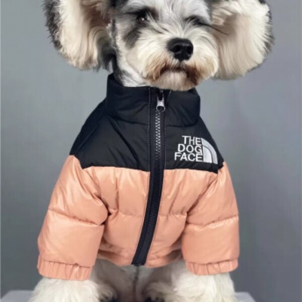 싱그러운 집,강아지 겨울 패딩 패션 의류 재킷