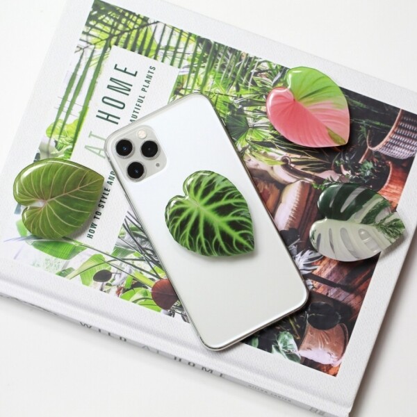 싱그러운 집,[더베르데가든] 식물 그립톡 희귀식물 스마트폰 스마트톡