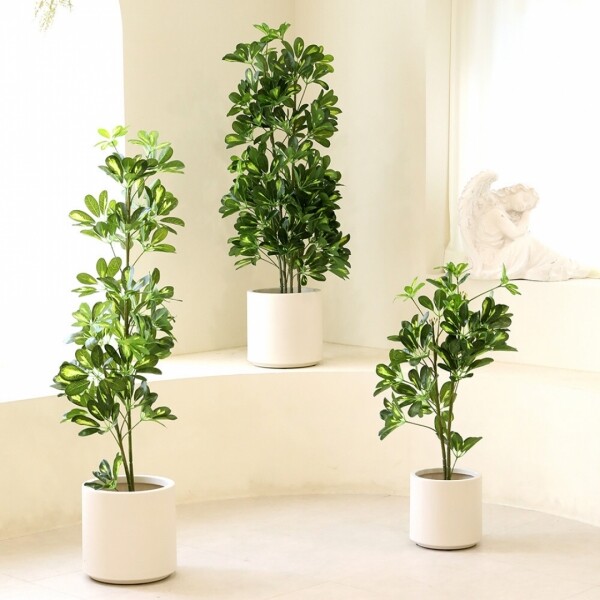 싱그러운 집,인테리어 조화나무 인조나무 화분 쉐프렐라 무늬 홍콩야자 3size