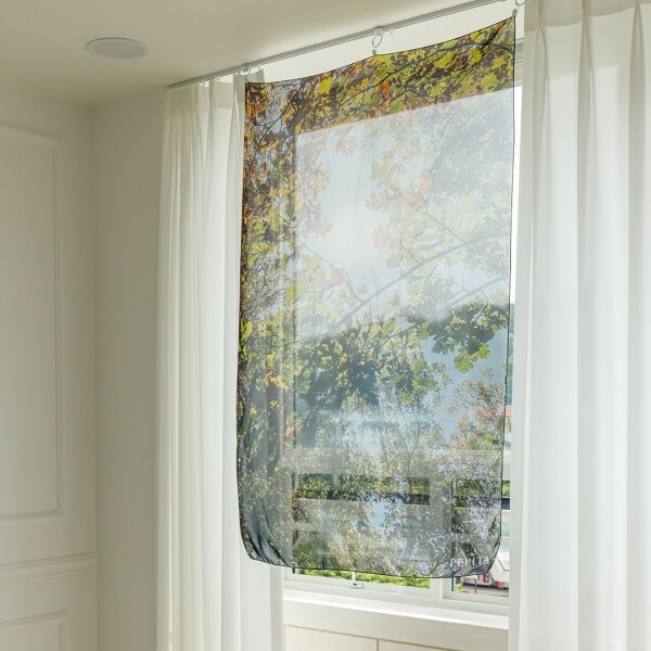 싱그러운 집,페피타 햇살 쉬폰 포스터 패브릭 숲 나무 자연 풍경 감성 햇빛 가을 꾸미기 써니데이