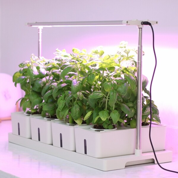 싱그러운 집,파인라이트 LED 식물등 조명 세트 화이트 (높이조절형) 화분 다육이 난초 식물재배