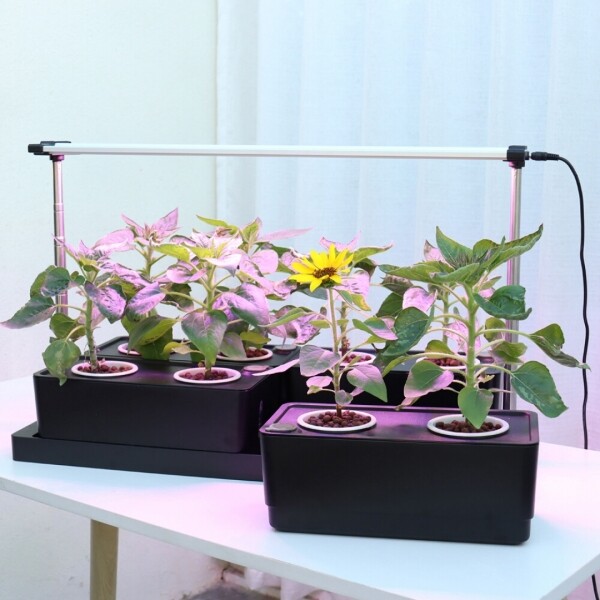 싱그러운 집,파인라이트 LED 식물등 조명 세트 화이트 (높이조절형) 화분 다육이 난초 식물재배