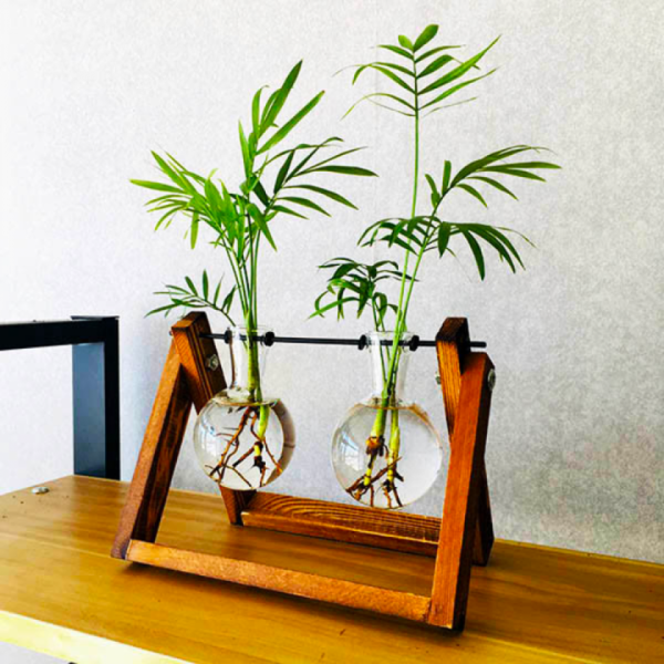 싱그러운 집,느낌있는 플랜테리어 모던원목화병 테이블야자 수경재배 공기정화식물 야자 보타니컬 반려식물